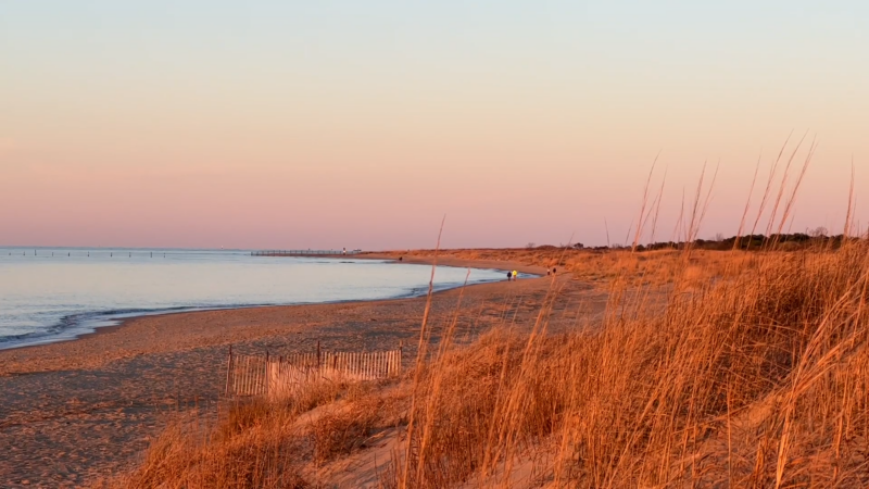 First Landing State Park in the Fall