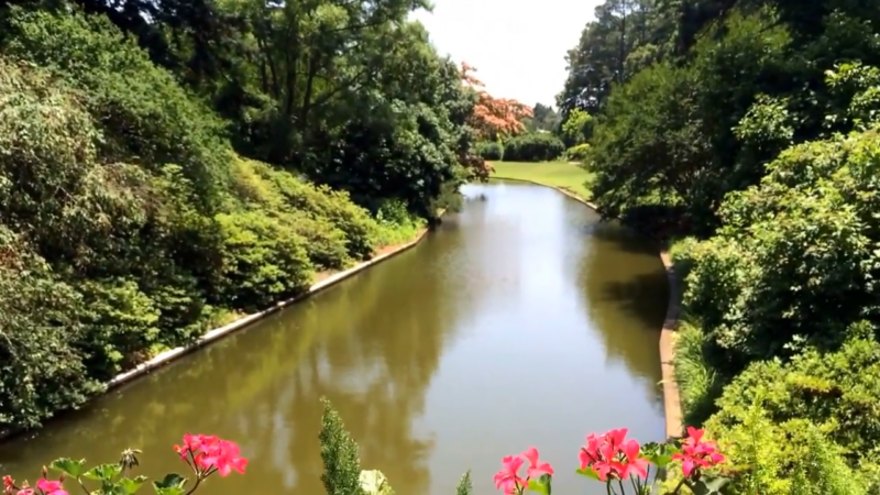 History of Norfolk Botanical Gardens