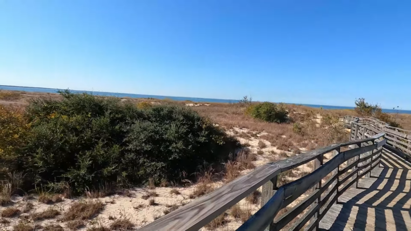 First Landing State Park, Virginia Beach