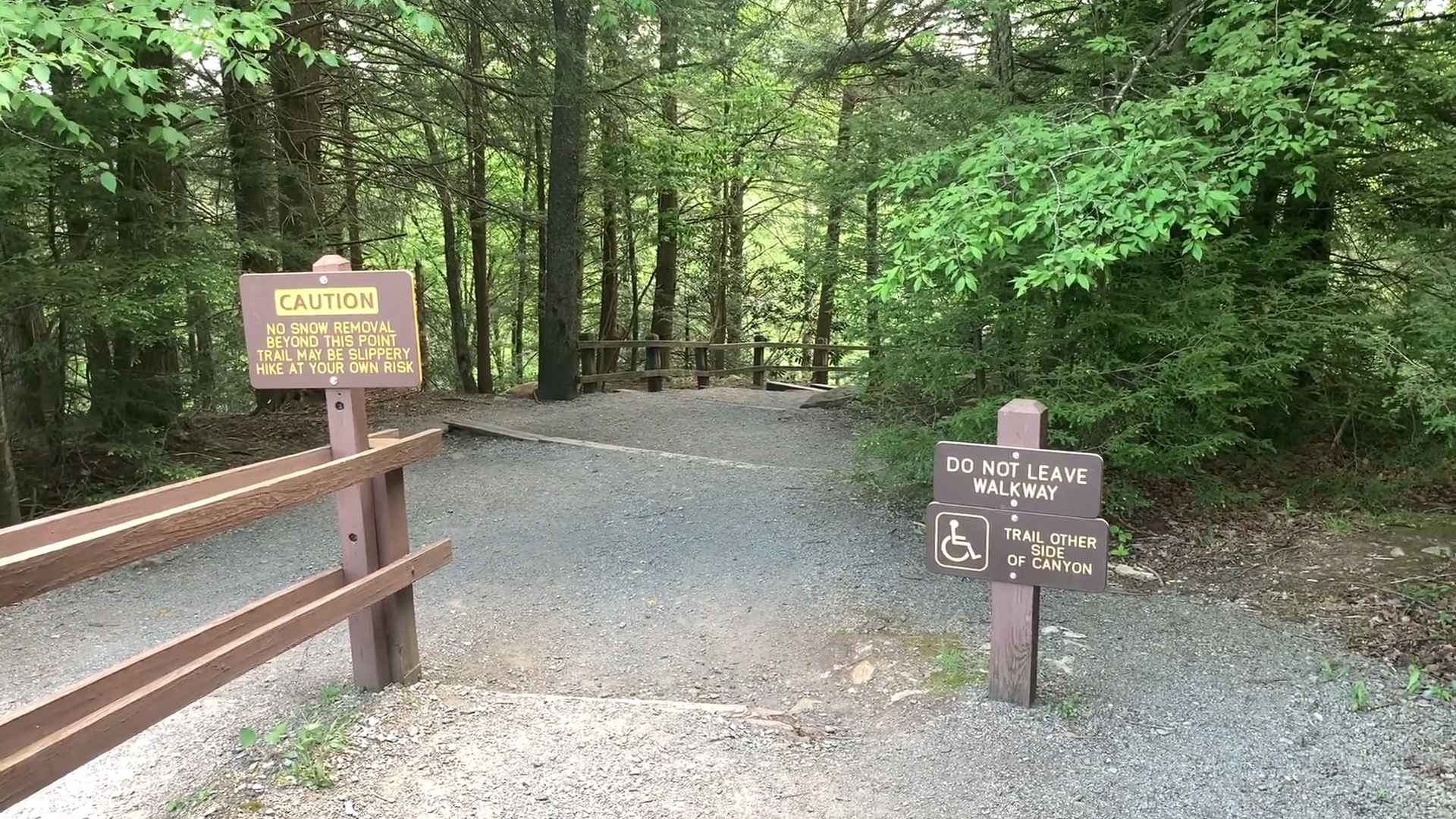 Gravel path leading into the woods with caution and accessibility signs at Blackwater Falls State Park